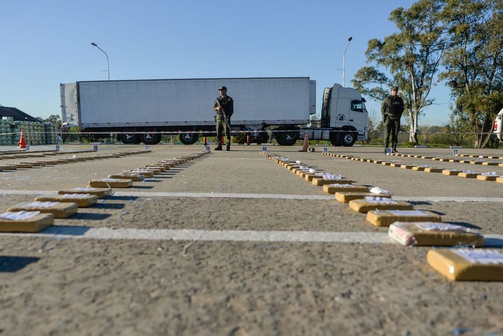Cayeron con 444 kilos de cocaína camuflados en un cargamento de bananas: cuatro detenidos 