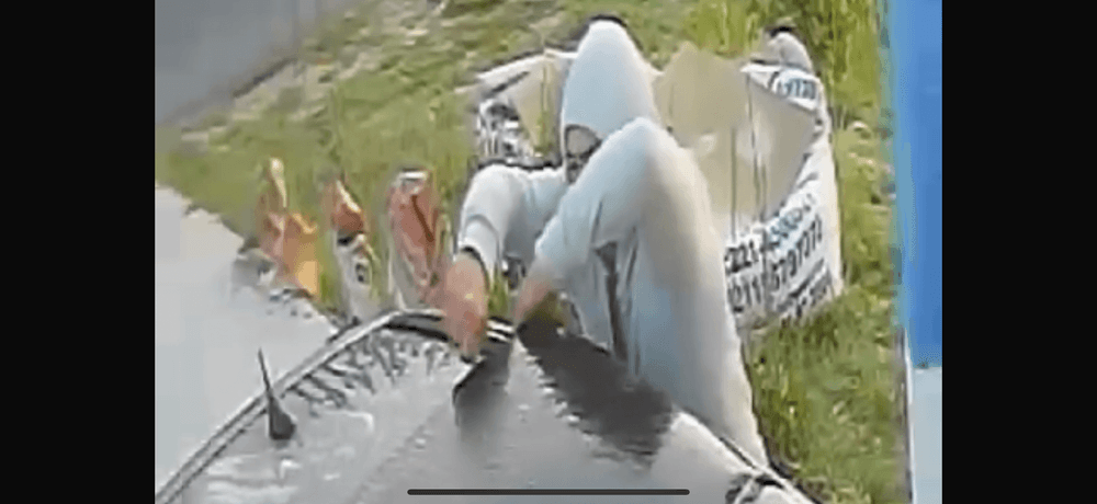 Picture of the author