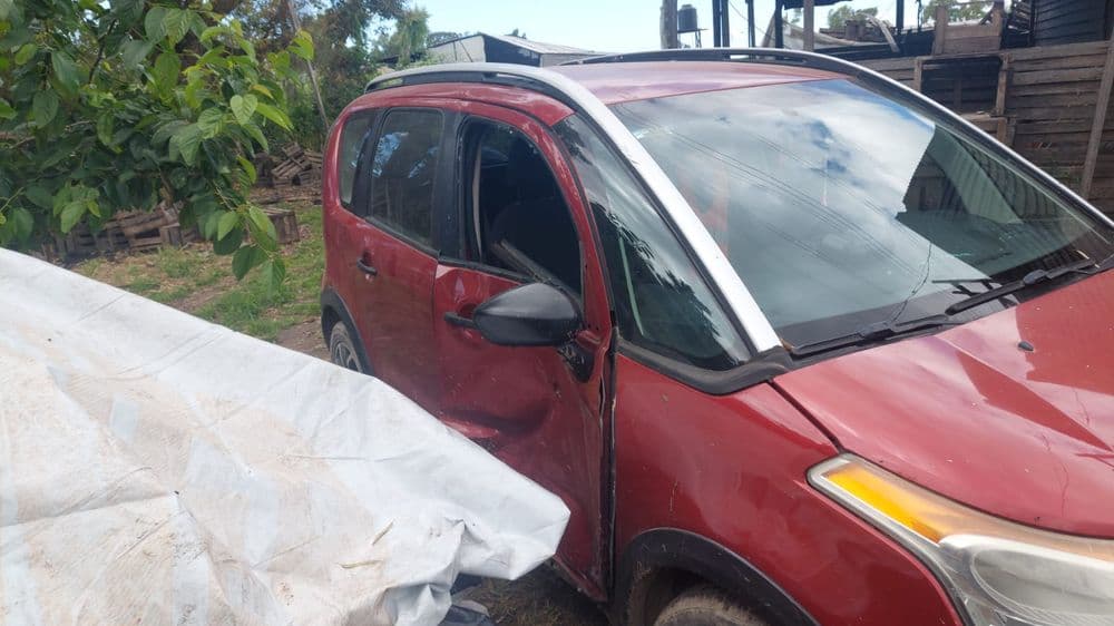 Picture of the author