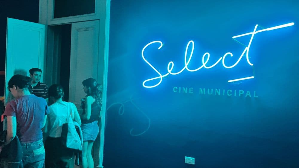 Picture of the author