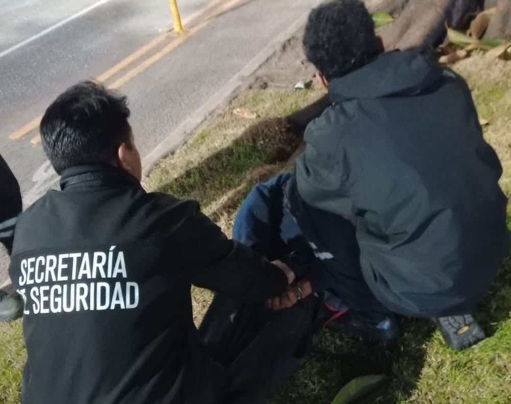 La Plata: Arrestaron a un delincuente que acechaba a sus víctimas y se ocultaba en un árbol