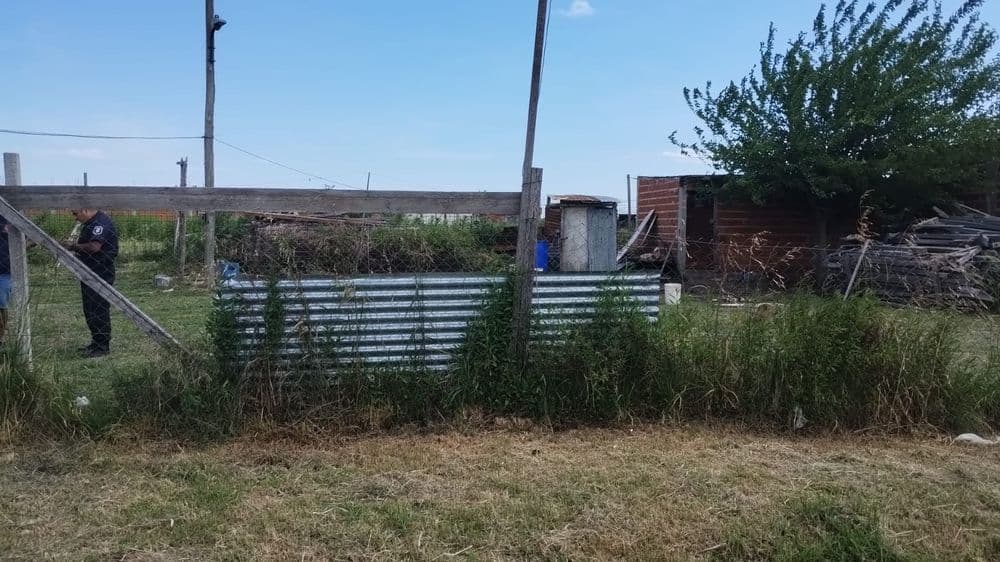 Un niño  de 9 años fue atacado por un perro en La Plata y el dueño del animal quedó detenido 