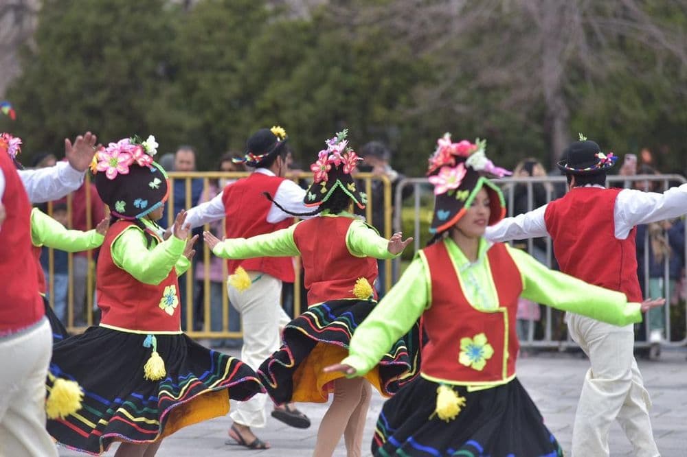 Picture of the author