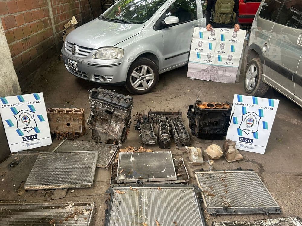 Desbarataron otro taller clandestino en Los Hornos: encontraron motores adulterados y autopartes ilegales