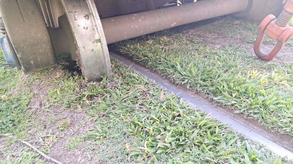 Tolosa: Tren de carga descarriló a la altura de 527 y 116, sin heridos