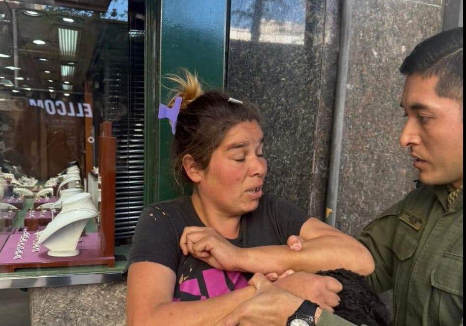 Gendarmes arrestaron a una mujer que robaba en comercios de La Plata