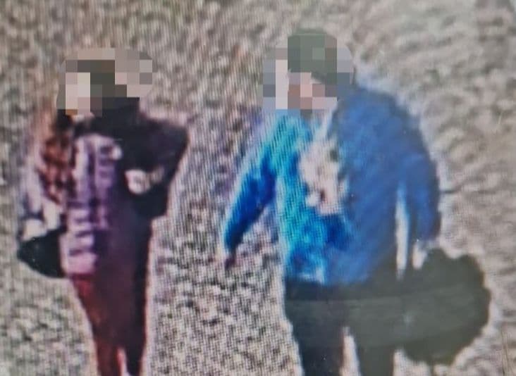 Secuestró a una nena de 12 años y lo arrestaron cuando escapaba con la niña en tren