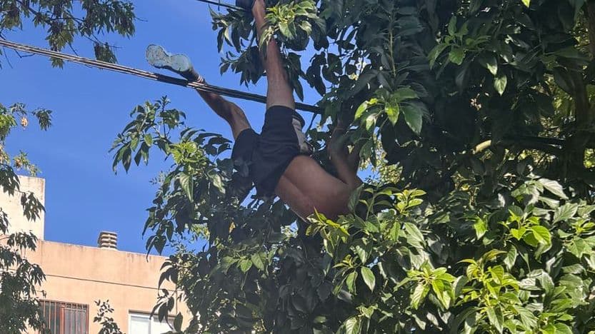 Picture of the author