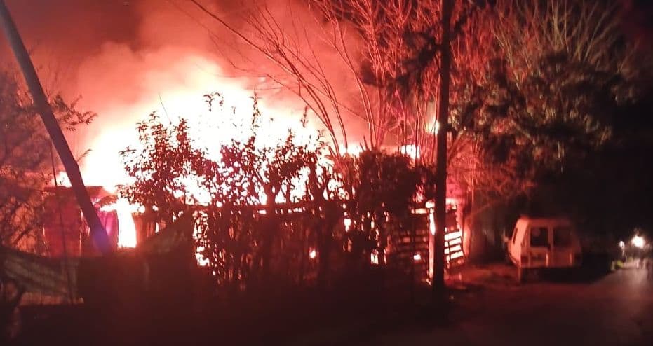 Picture of the author