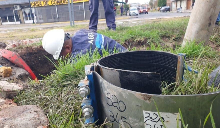 Picture of the author