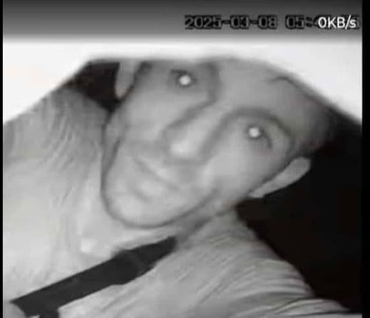 Picture of the author