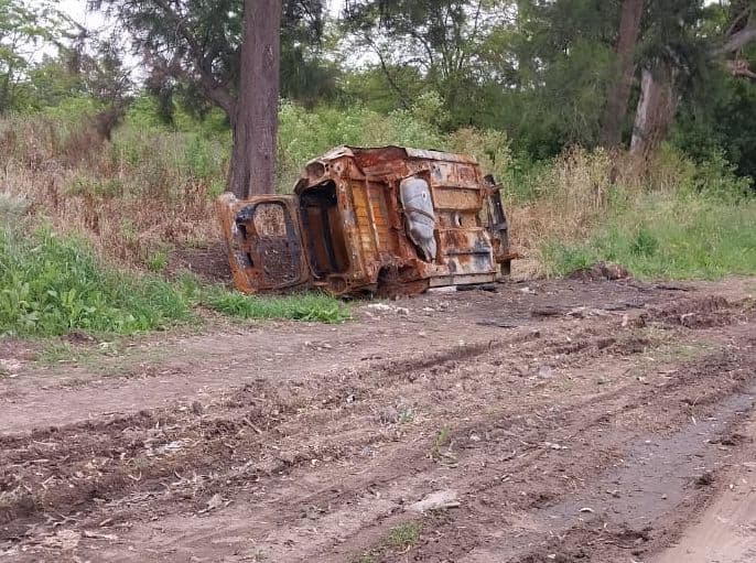 Picture of the author