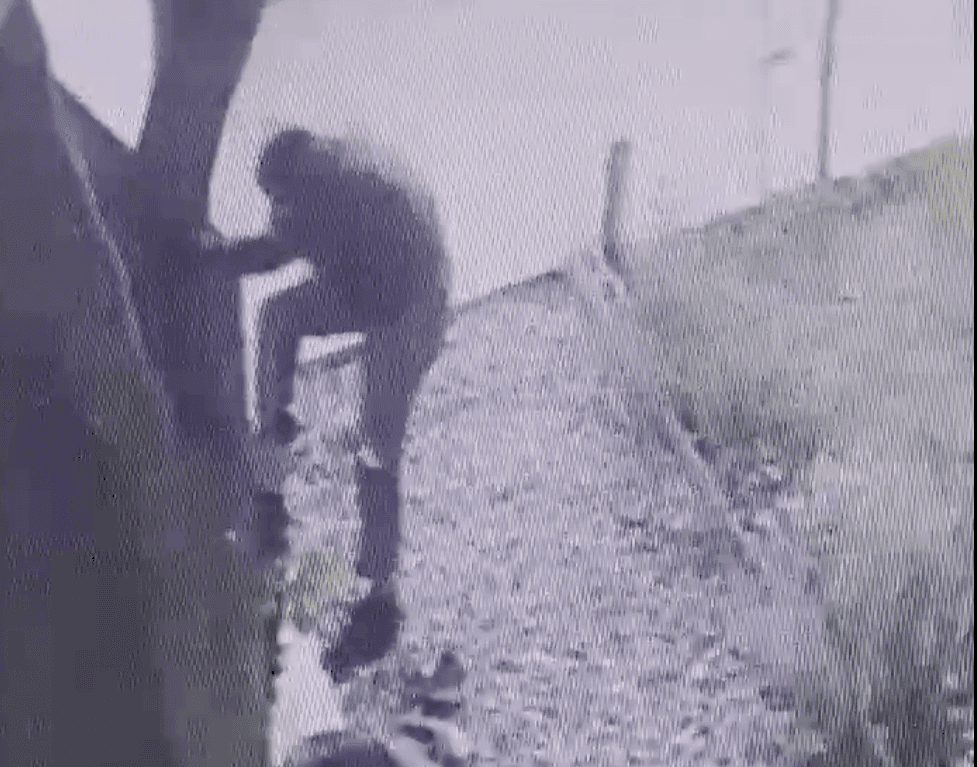 Picture of the author