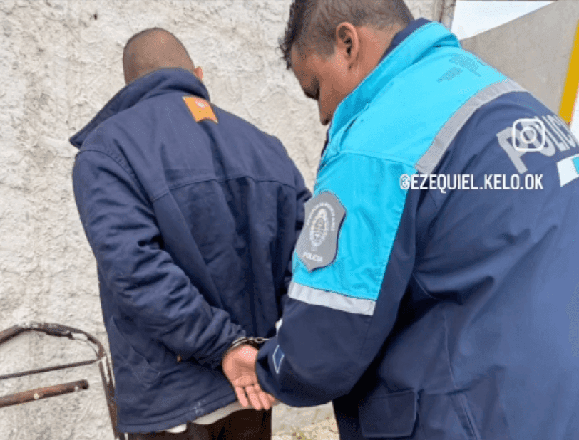 La Plata: Una fiscalía recibió 258 denuncias por un solo caso de maltrato animal