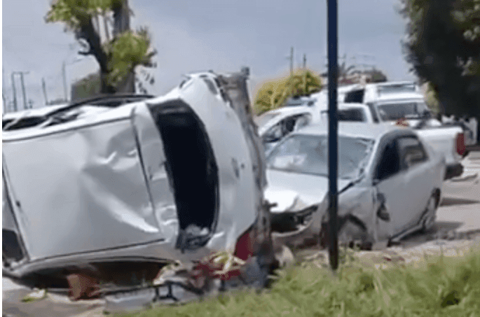 Picture of the author