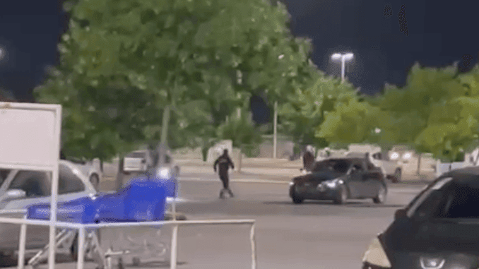 Picture of the author