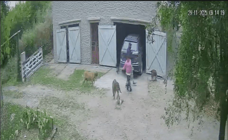 Picture of the author