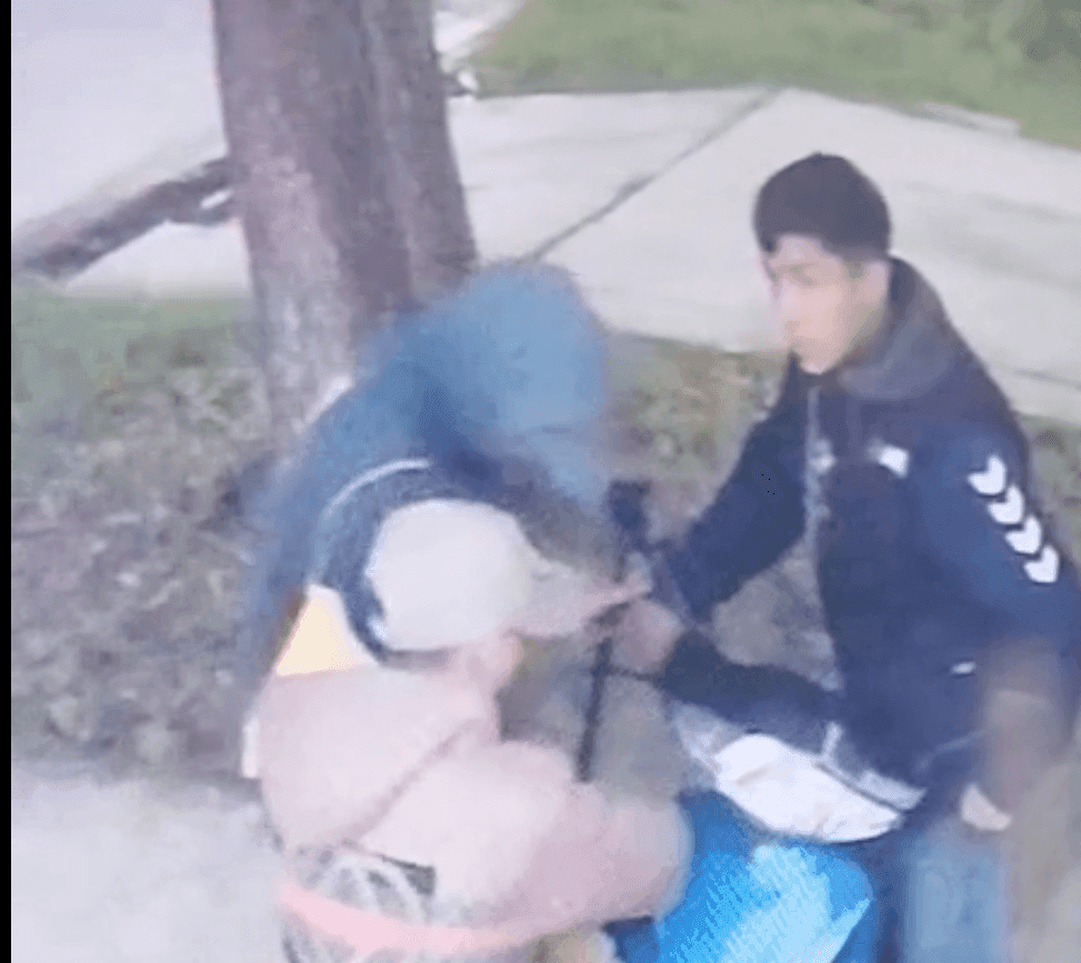 Los Hornos: Robaron una moto, quedaron filmados y escaparon