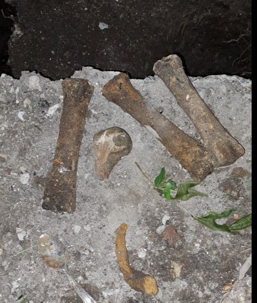Hallan restos óseos en una calle de Ensenada: investigan su origen
