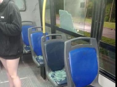 Picture of the author