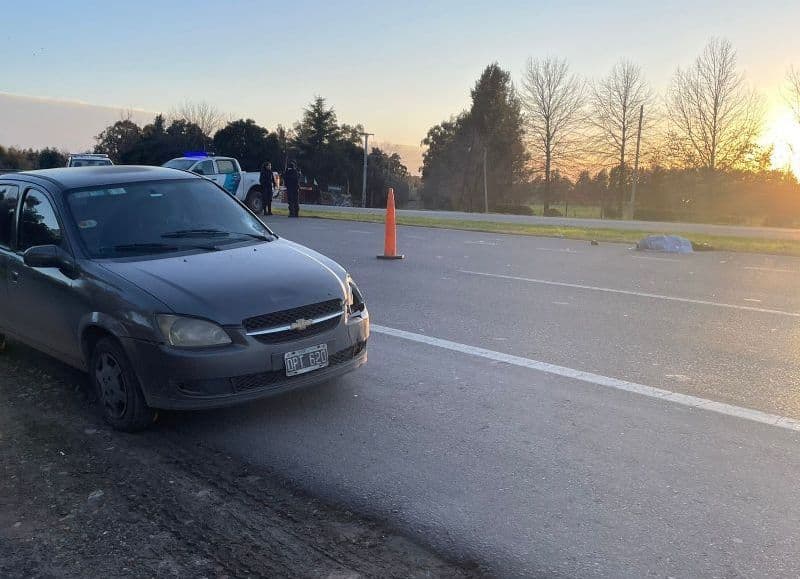 Picture of the author