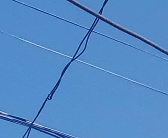 Picture of the author