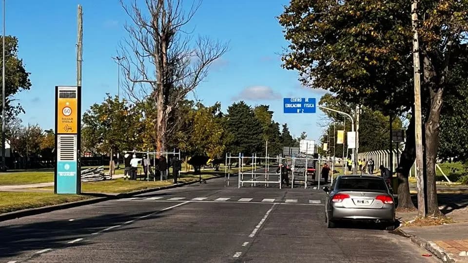 Picture of the author