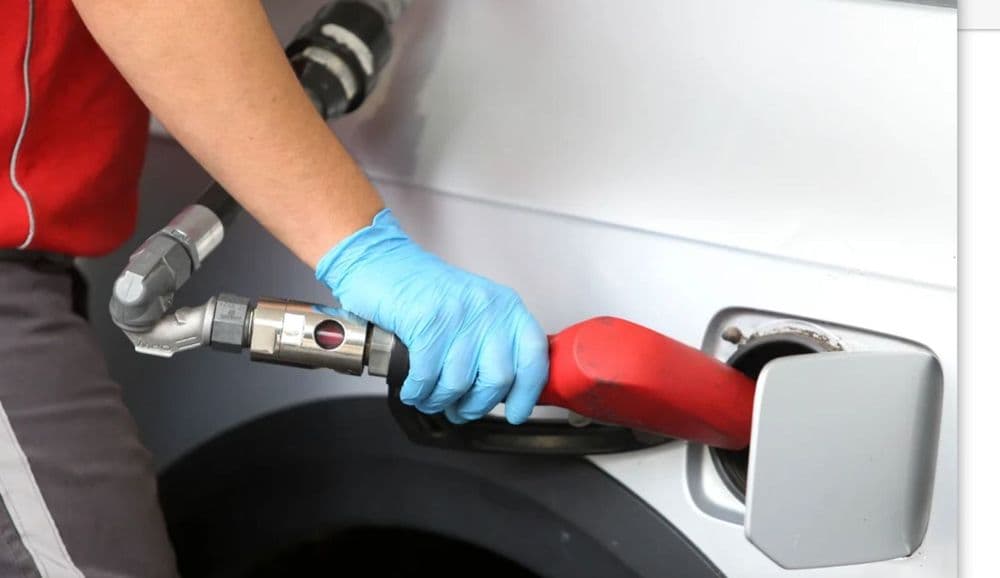 Picture of the author