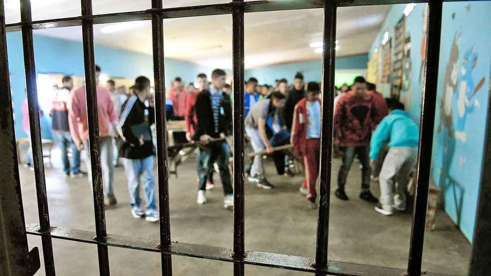 Picture of the author