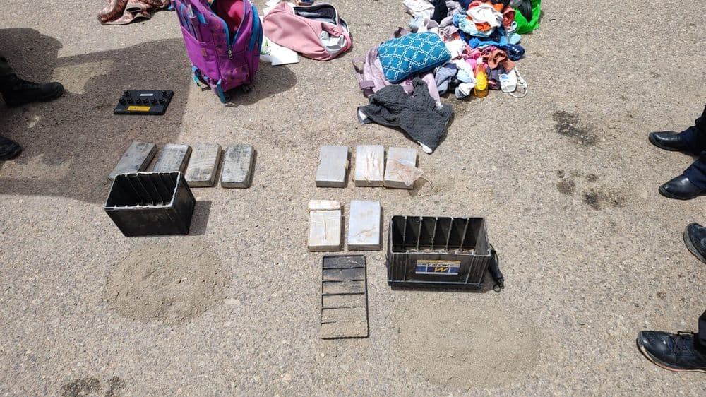 Picture of the author