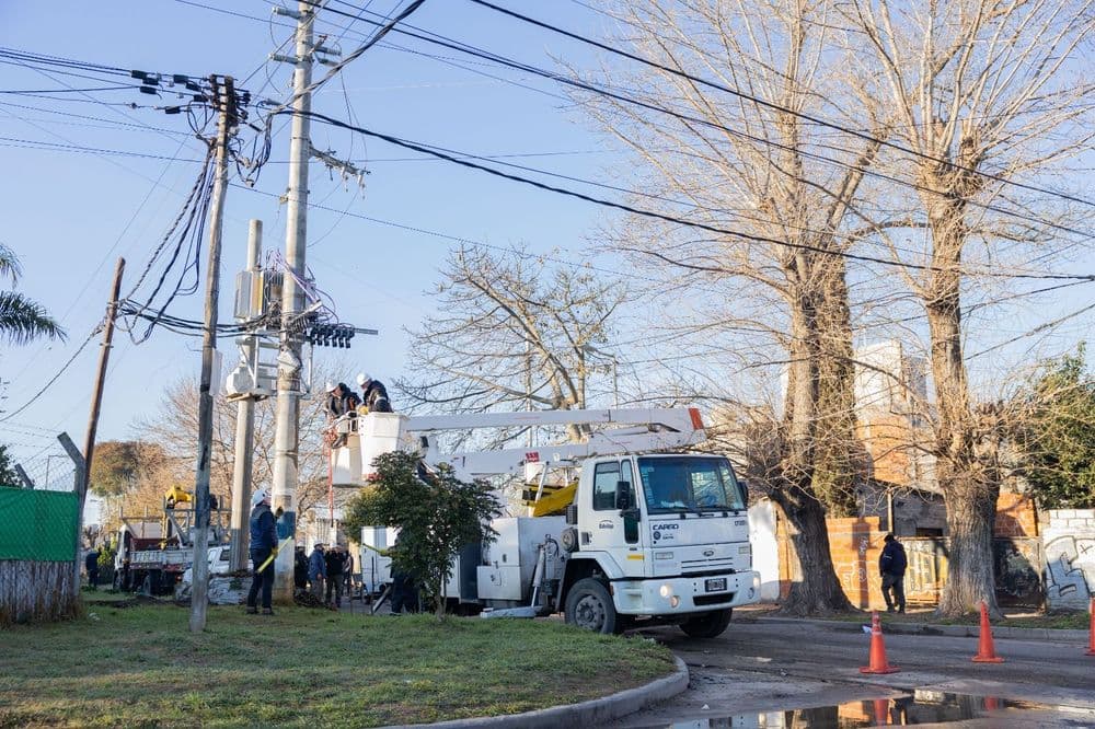 Picture of the author