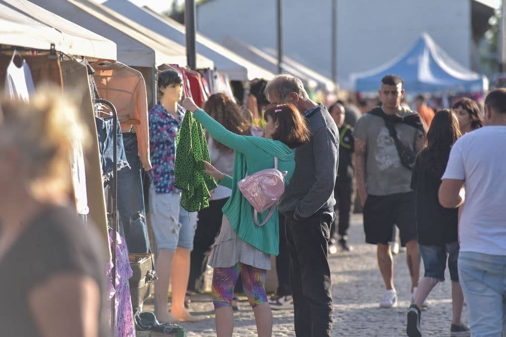 Picture of the author