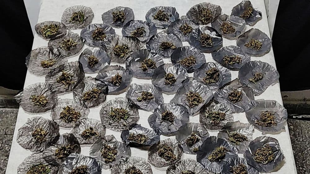 Picture of the author