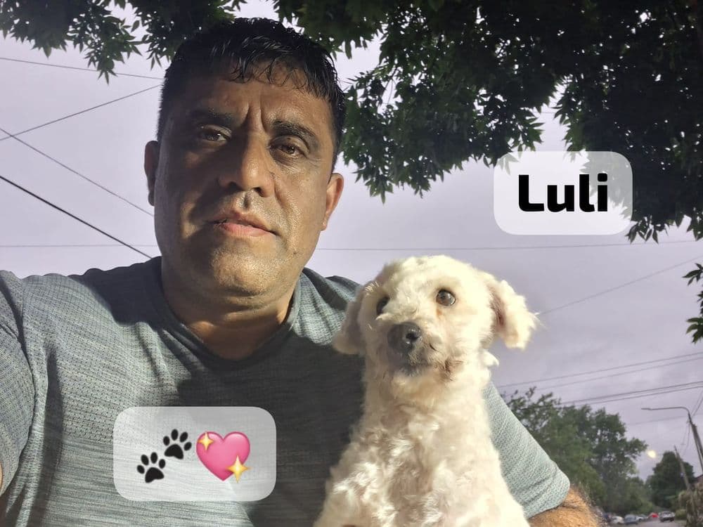 Rescataron a una perra caniche víctima de maltrato tras una denuncia de un rescatista animal