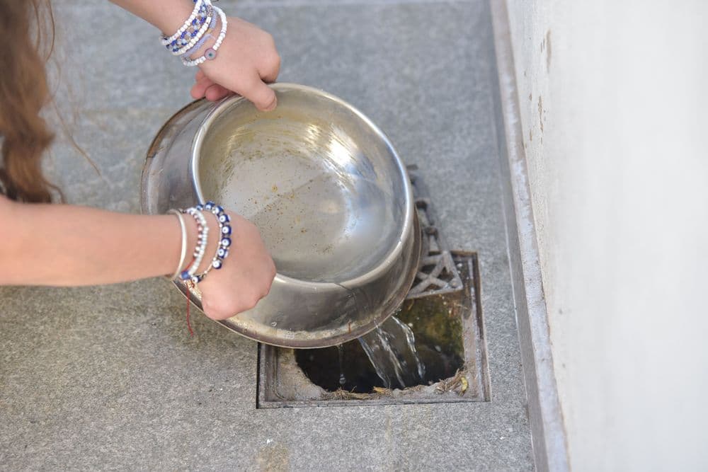 Picture of the author