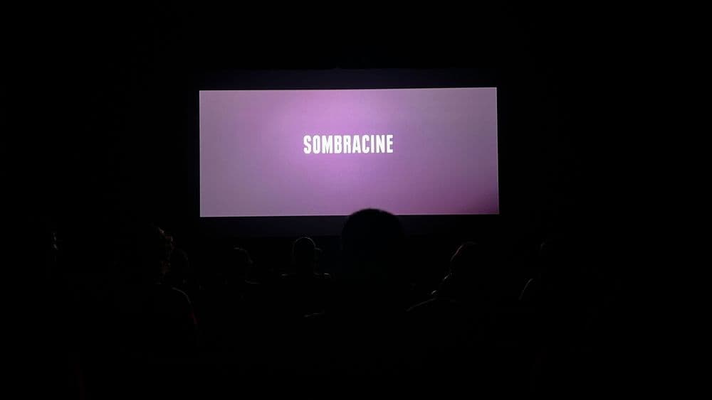 Picture of the author