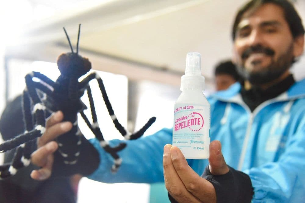 Picture of the author