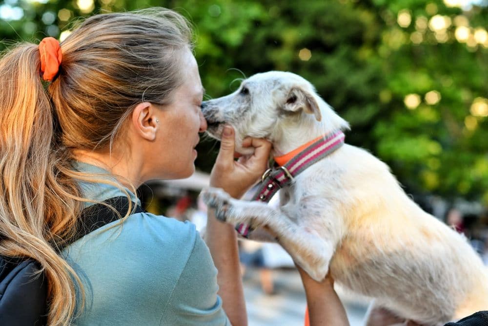 Picture of the author