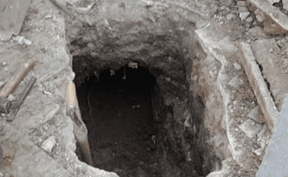 Picture of the author