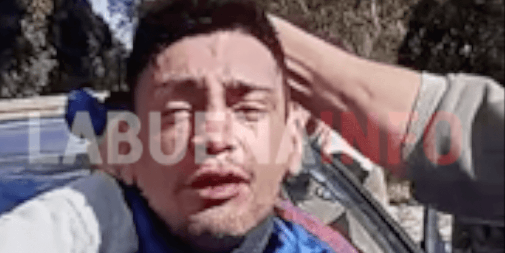 Picture of the author