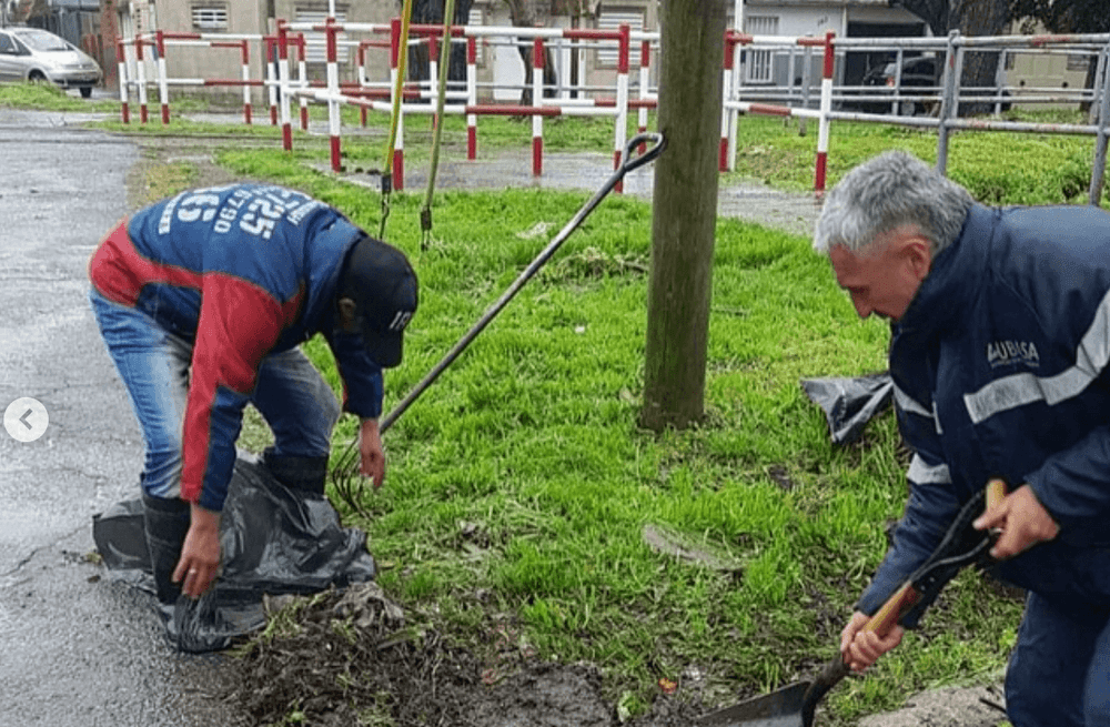 Picture of the author