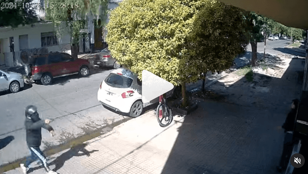 Picture of the author