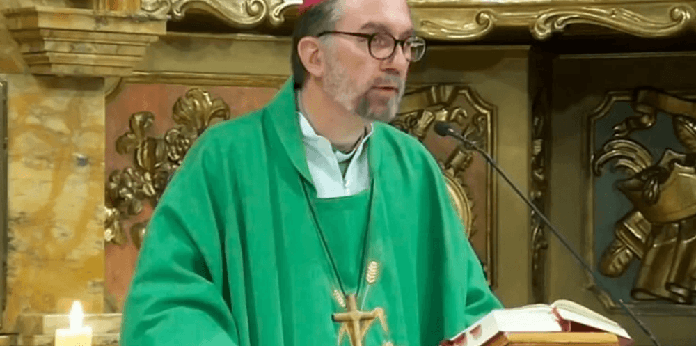 Picture of the author