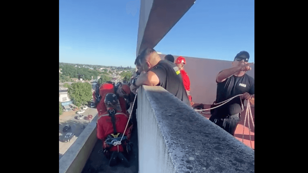 Picture of the author