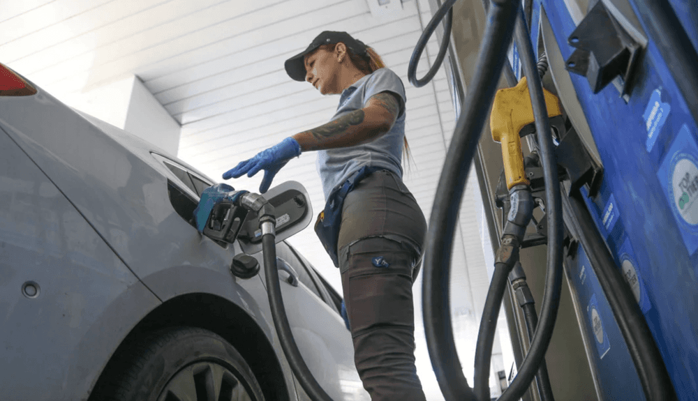 Picture of the author