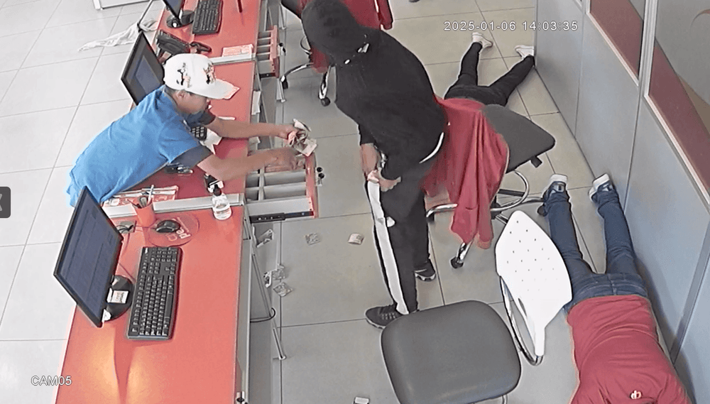 Picture of the author