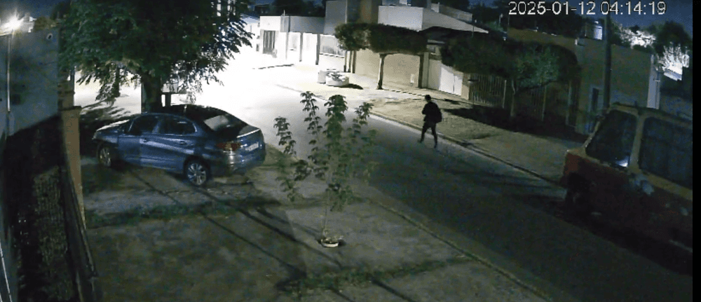 Picture of the author