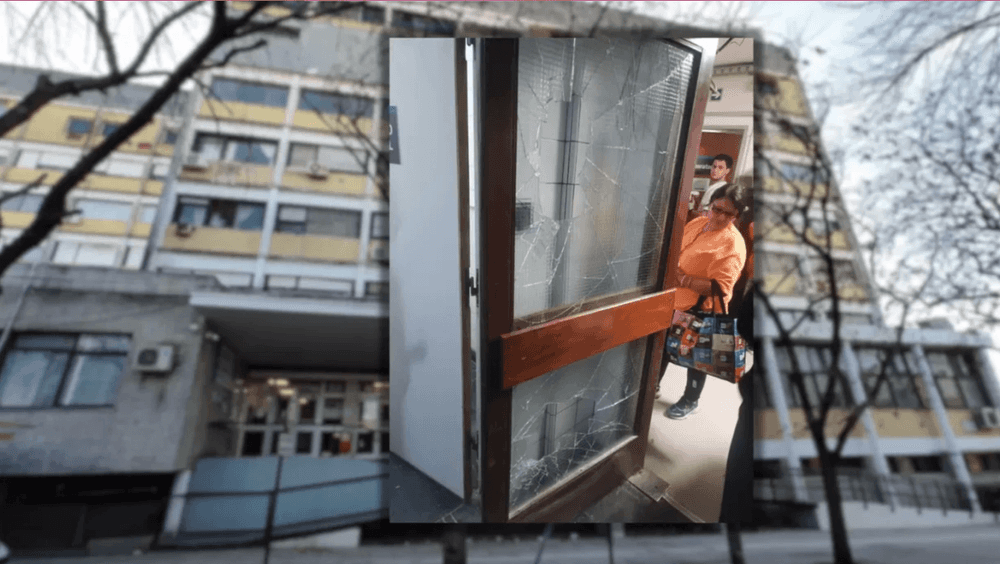 Picture of the author