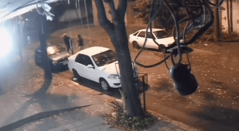 Picture of the author