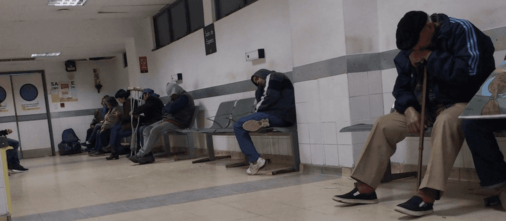 Picture of the author